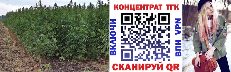 купить гидра ТОР ТГК концентрат Биробиджан