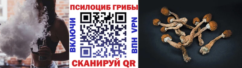 даркнет сайт  omg tor  Псилоцибиновые грибы прущие грибы  Биробиджан 